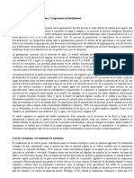 Estados de Crecimiento Esenciales y Componentes de Rendimiento