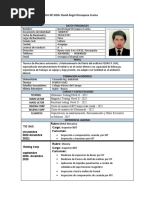 CV - David Orcoapaza Ccama - Inspector