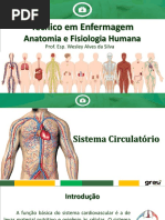 04 Sistema Circulatório