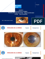 8 Sesion PATOLOGIA DE LA CORNEA