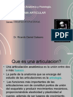 4 - Sistema Articular