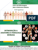 Introdução Anatomia + Sistema Ósseo