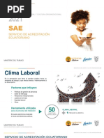 Ppt-Clima y Cultura Sae 2021