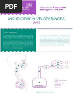 Infografía IVF