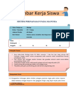 LKS PBL Sistem Pernapasan With Key