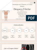 Desgarro Fibrilar