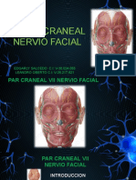 Par Craneal Vii Nervio Facial