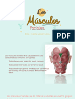 Músculos Grupo Nasal