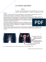 Teste Ciencias 9 Ano Reproducao Genetica e Fecundacao