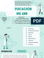 g3 Química Replicación Del Adn