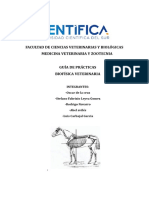 Informe 6 - Biofisica Veterinaria