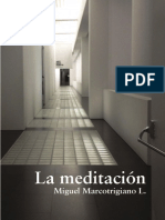 Miguel Marcotrigiano L - La Meditación