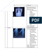 Radiologi Expertise