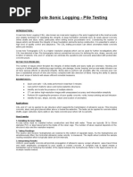 Cross Hole Sonic Logging APPLICATION WORD FORMAT