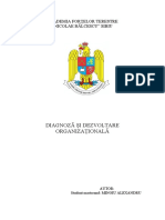 DIAGNOZĂ ȘI DEZVOLTARE ORGANIZAȚIONALĂ-Slt. MINOIU Alexandru