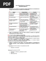 Actividades Unidad 1 Biologia Molecular