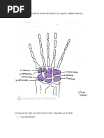 Tarea TP5