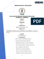 DPC TRABAJO DE INVESTIGACION Simulacion de Audiencia