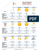 Meteo Borgo Veneto