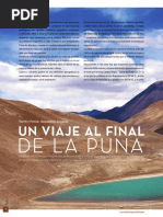 Un Viaje Al Final de La Puna. 