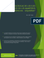 Bases Embriológicas de Los Ejes Corporales en Los