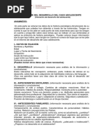 Informe Del Desarrollo Del Caso Adolescente