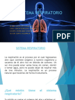 Sistema Respiratorio