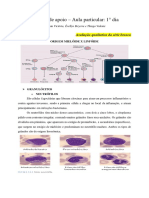 Material de Apoio - Aula 01