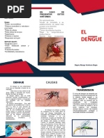 Triptico Dengue