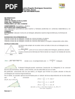 Guía Area Del Triangulo