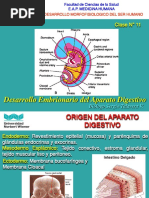 Clase N°11 Aparato Digestivo