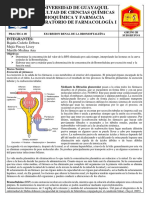 Informe #8