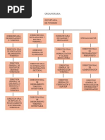 Organigrama Turismo y Recoleccion