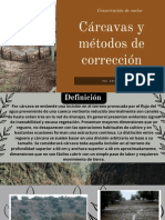 Cárcavas y Métodos de Corrección