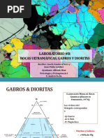 Clase 8 - Peridotitas, Gabros & Dioritas - JS