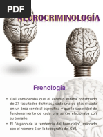 Cerebro y Violencia Neurocriminologia