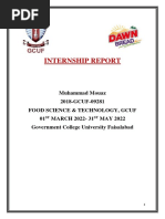 Internship Report