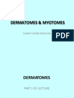 Dermatomes+Myotomes Lower Limb Lecture Slides