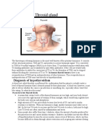 Thyroid Gland