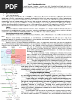 TEMA 17 Meta. de Lipidos-1