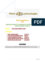 PA3 Neuropsicología