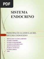 Sistema Endocrino 2