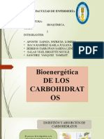 Carbohidratos Bioenergetica