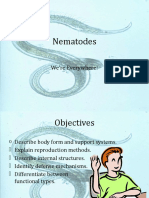 Phylum Nematoda 1