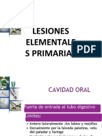 Lesiones Elementales Primarias