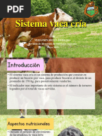 Sistema Vaca Cría Ppt-Comprimido