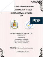 Sistema Sensorial Motor y de Integración