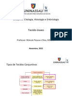 Aula 13 - Tecido Ósseo 16 11 2022