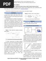 Relatório 6