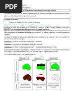 Activité 18 - La Production de Matière Organique Par La Plante.